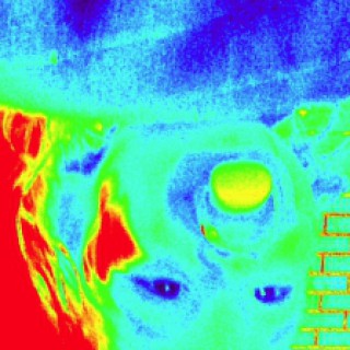 Profile picture of Evs