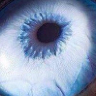 Profile picture of Arch