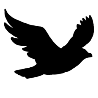 Profile picture of Ixion