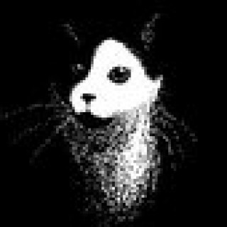 Profile picture of DogBoyTheCat