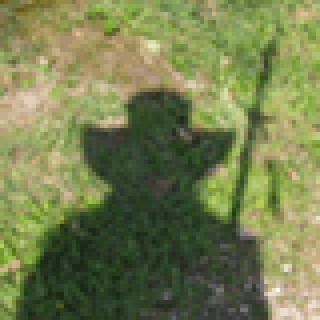 Profile picture of CoenusScaldingus