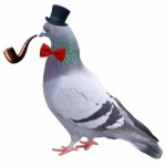 Profile picture of chickenelly